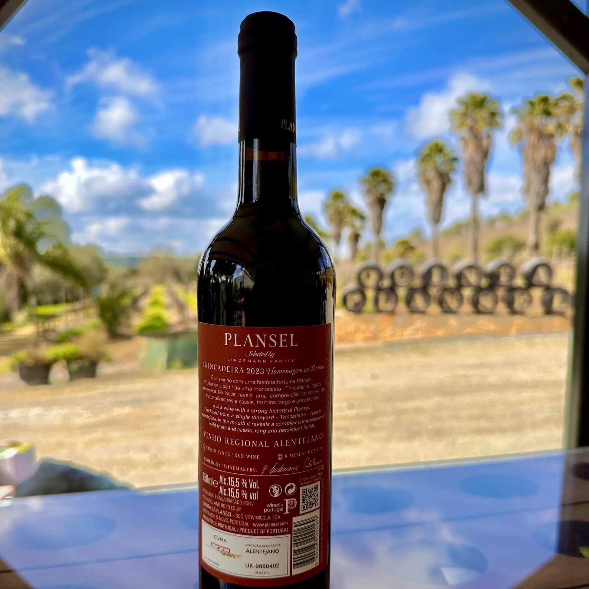 Plansel Trincadeira 2023 - Plansel