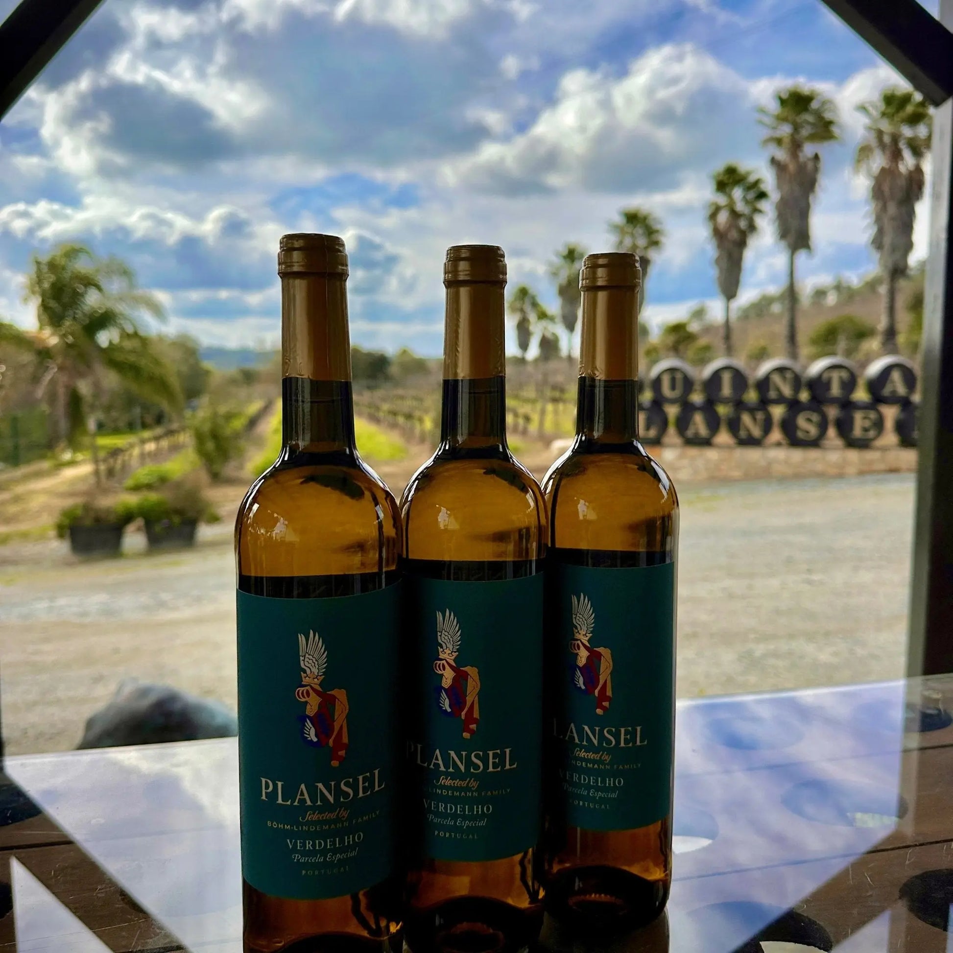 Plansel Verdelho - 2023 - Plansel
