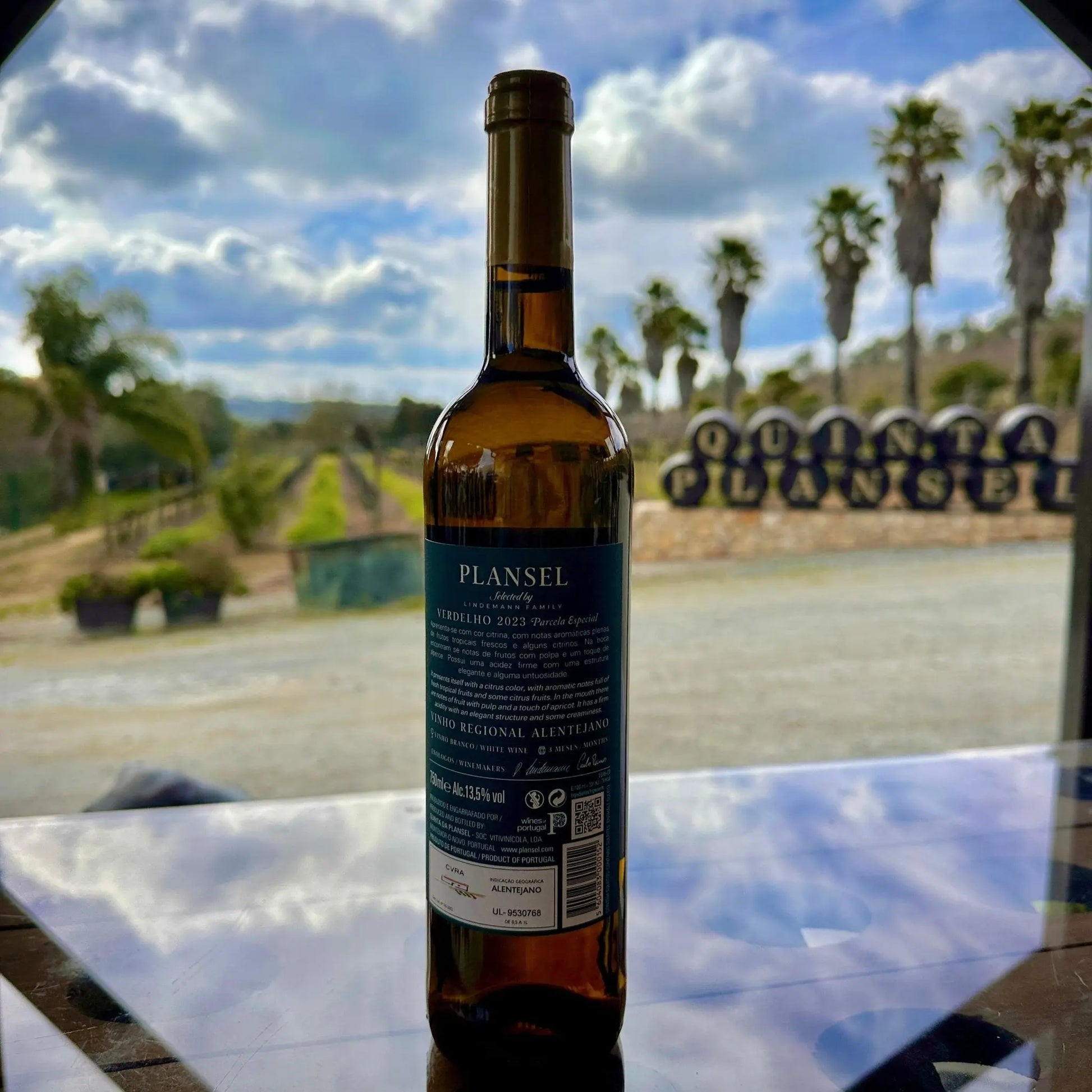 Plansel Verdelho - 2023 - Plansel