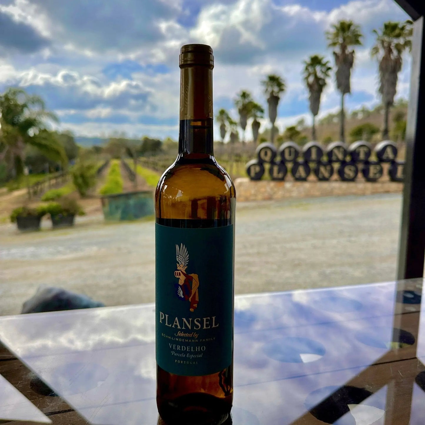 Plansel Verdelho - 2023 - Plansel