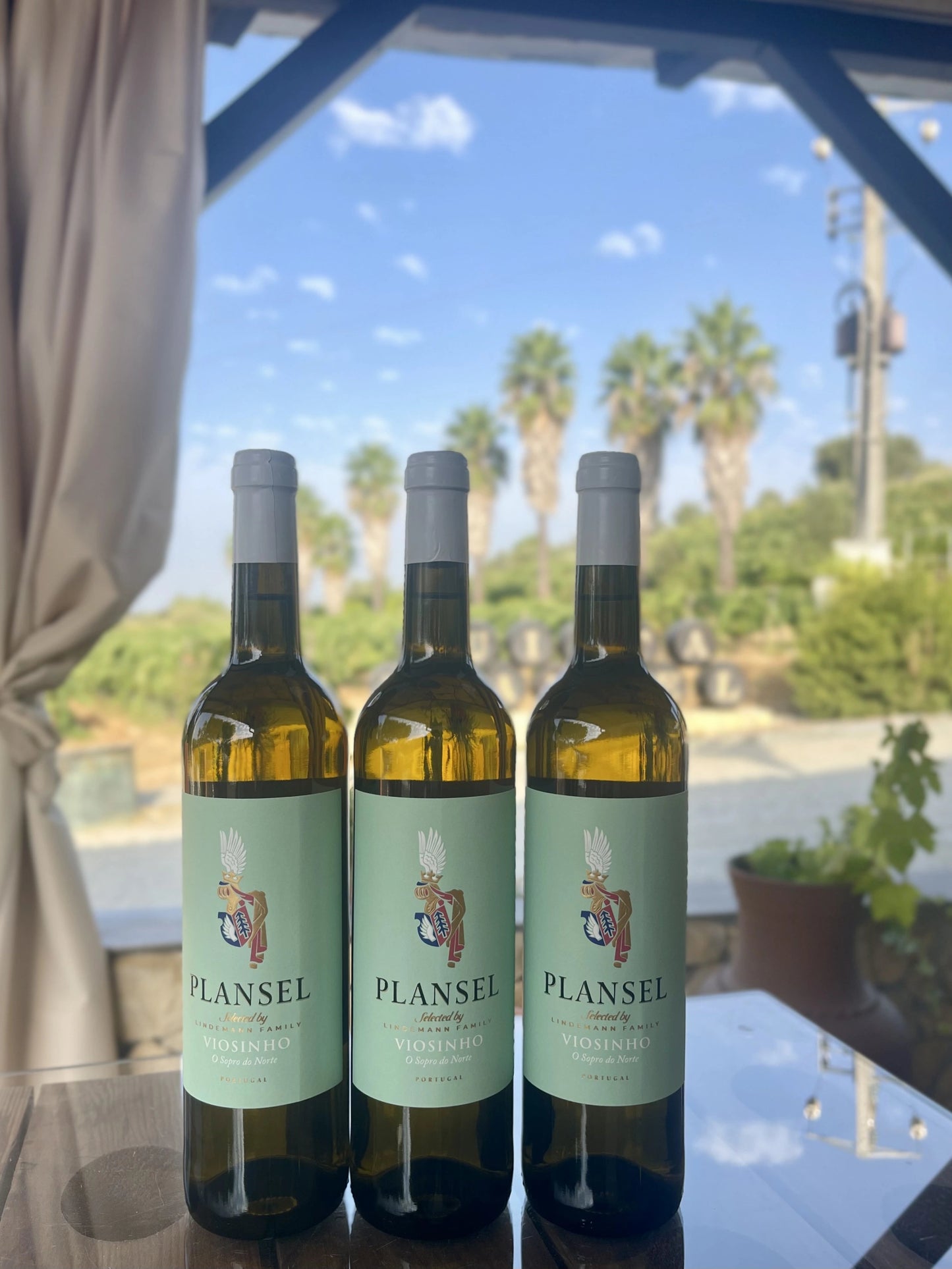 Plansel Viosinho - Plansel