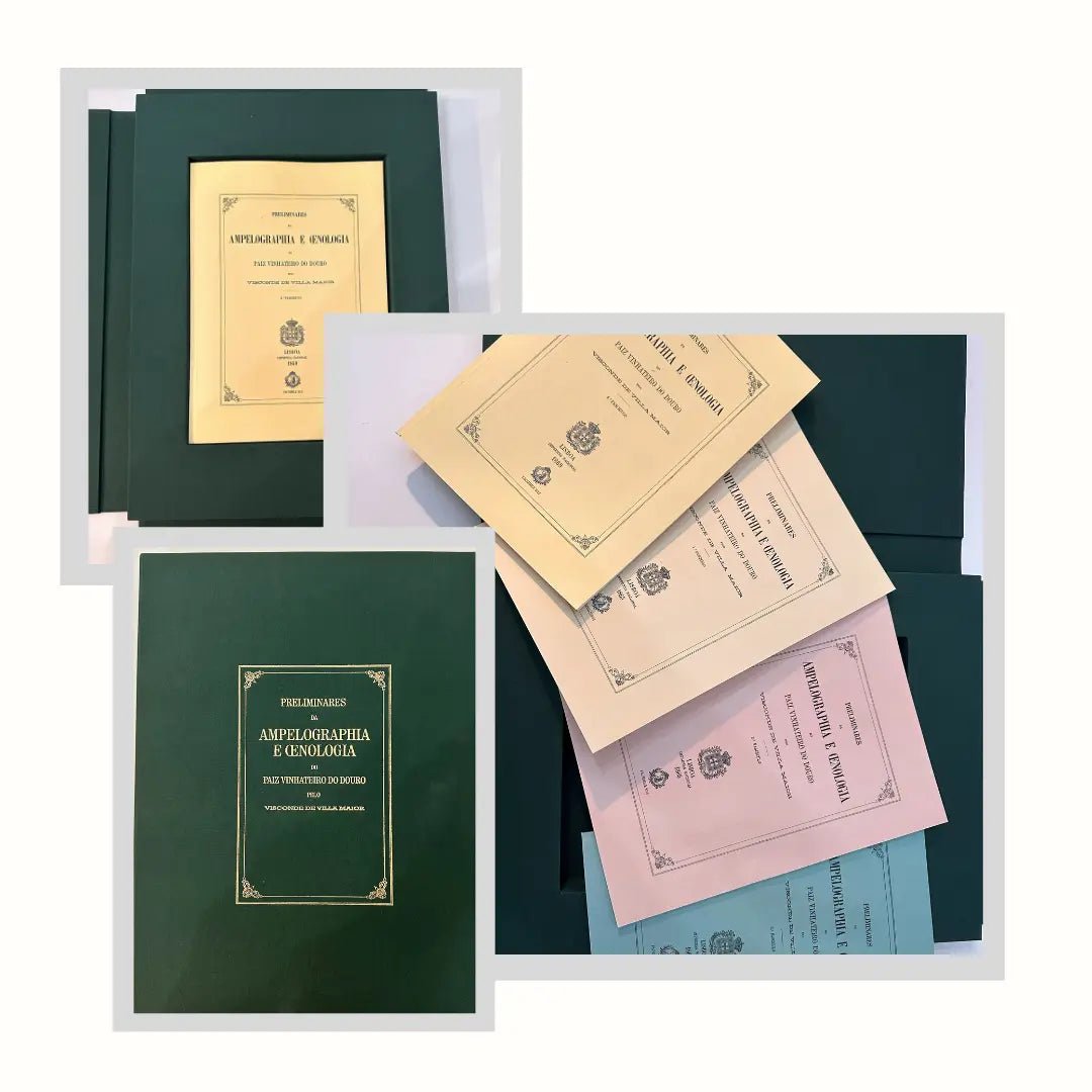 Preliminares Da Ampelographia E Oenologia Do Paiz Vinhateiro Do Douro - Plansel
