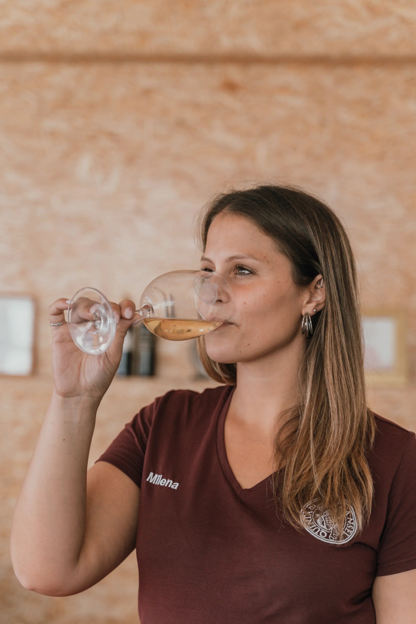 Prova GOLD (3 Vinhos) - Plansel