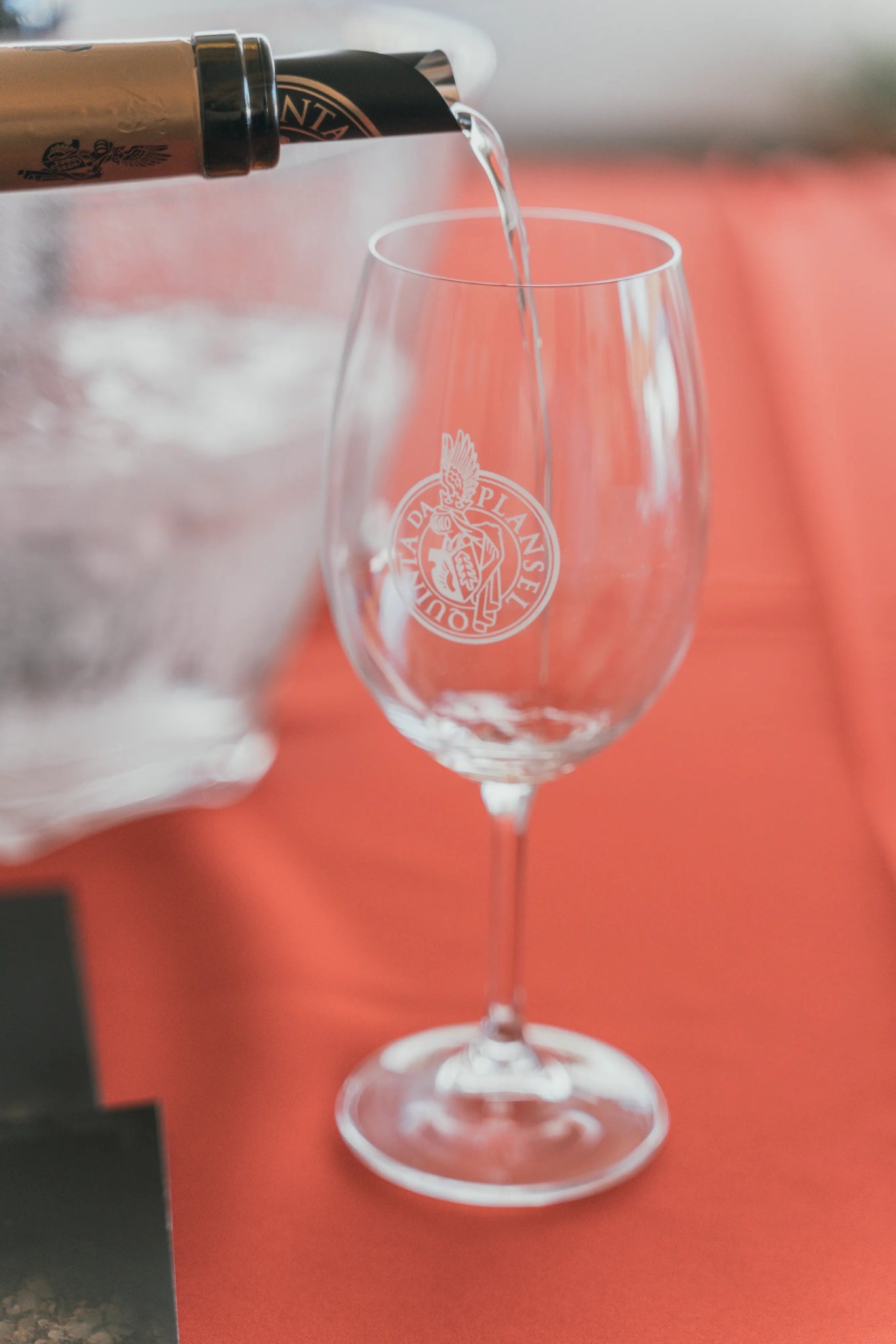 Prova PLATINUM (4 Vinhos) - Plansel