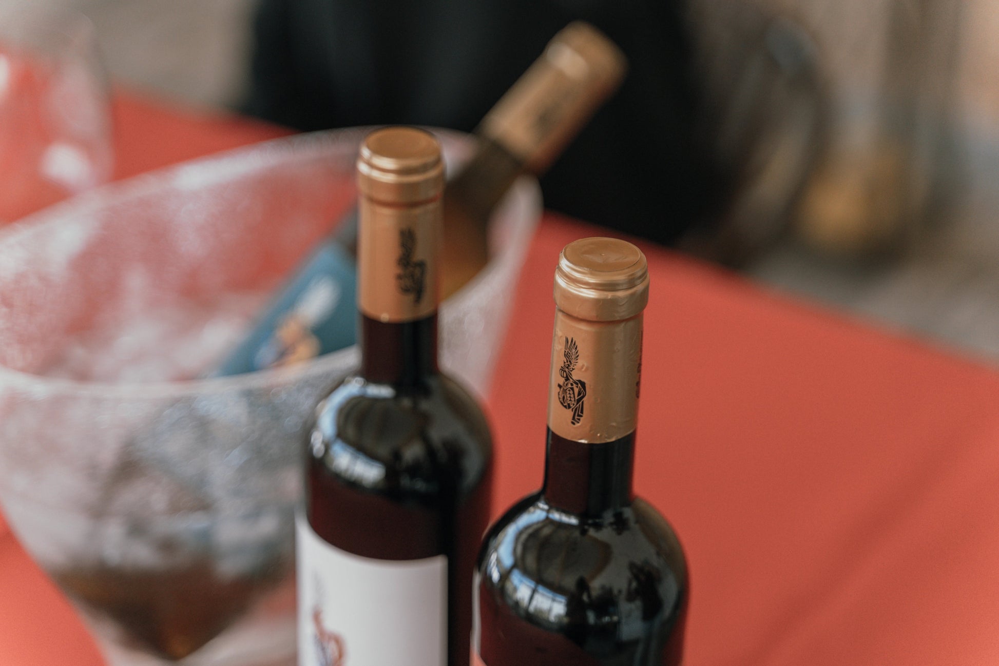 Prova PREMIUM (5 Vinhos) - Plansel