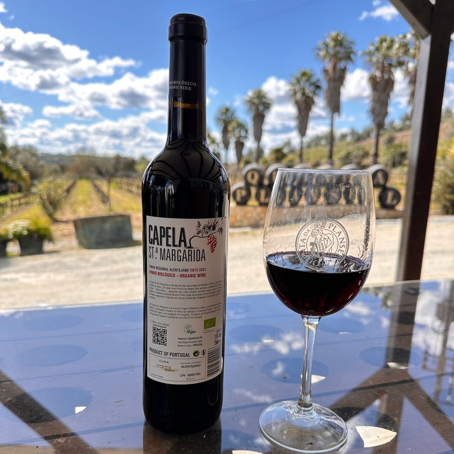 Tinto Biológico Capela Santa Margarida - Plansel