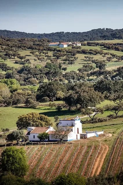 Um dia na Plansel - Plansel