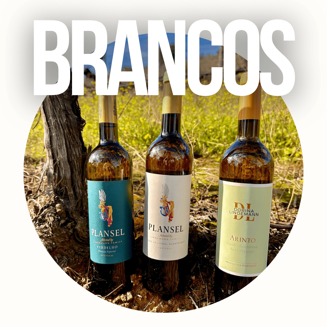 Vinhos Brancos - Plansel 