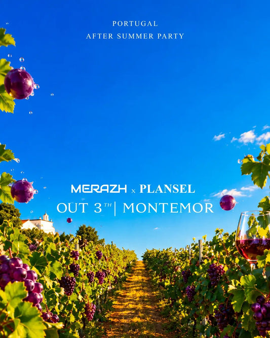 After Summer Party - MERAZH x Plansel - Plansel