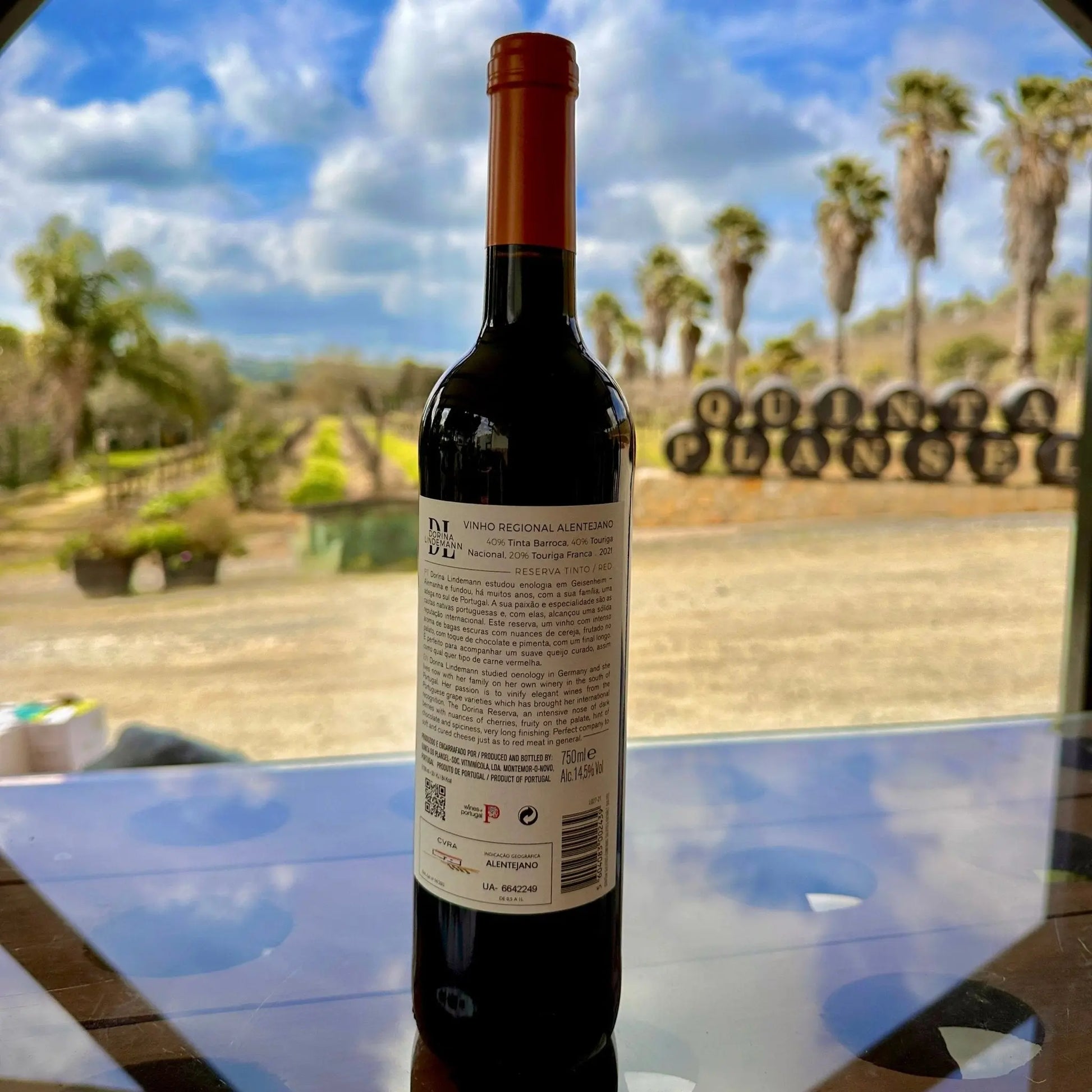 Dorina Lindemann Reserva Tinto - Plansel