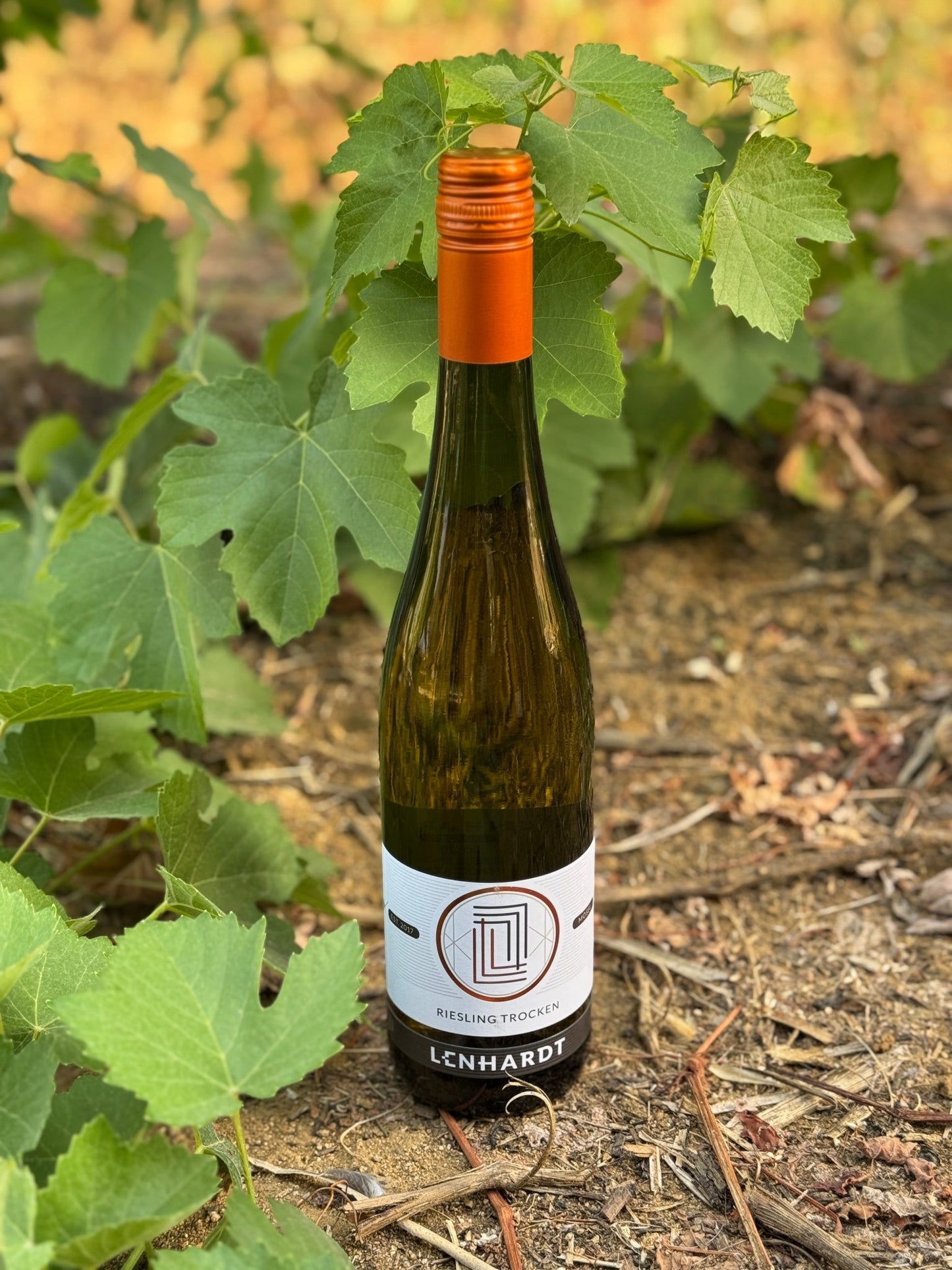 Lenhardt - Riesling - Plansel