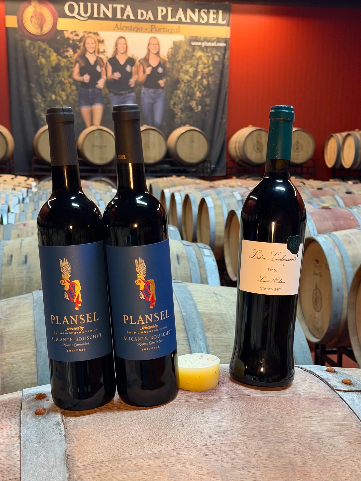 Pack Alicante Bouschet Plansel - Plansel