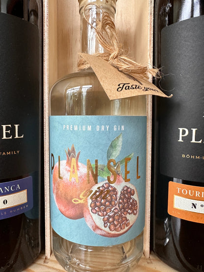 Pack especial de Natal - Plansel