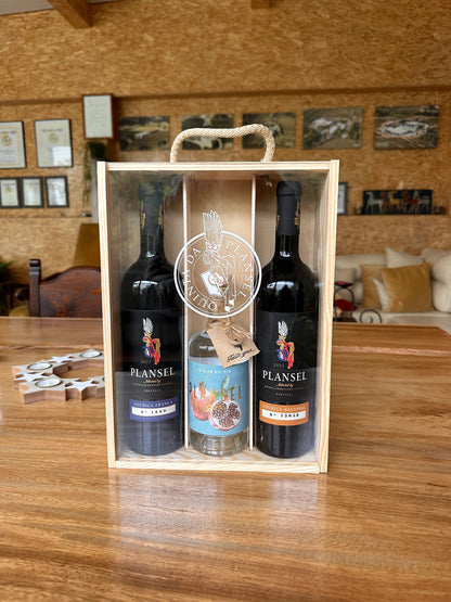 Pack especial de Natal - Plansel