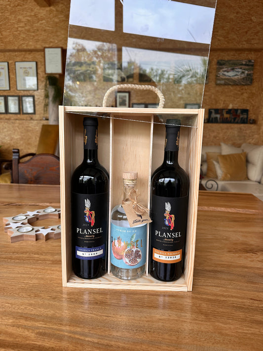 Pack especial de Natal - Plansel