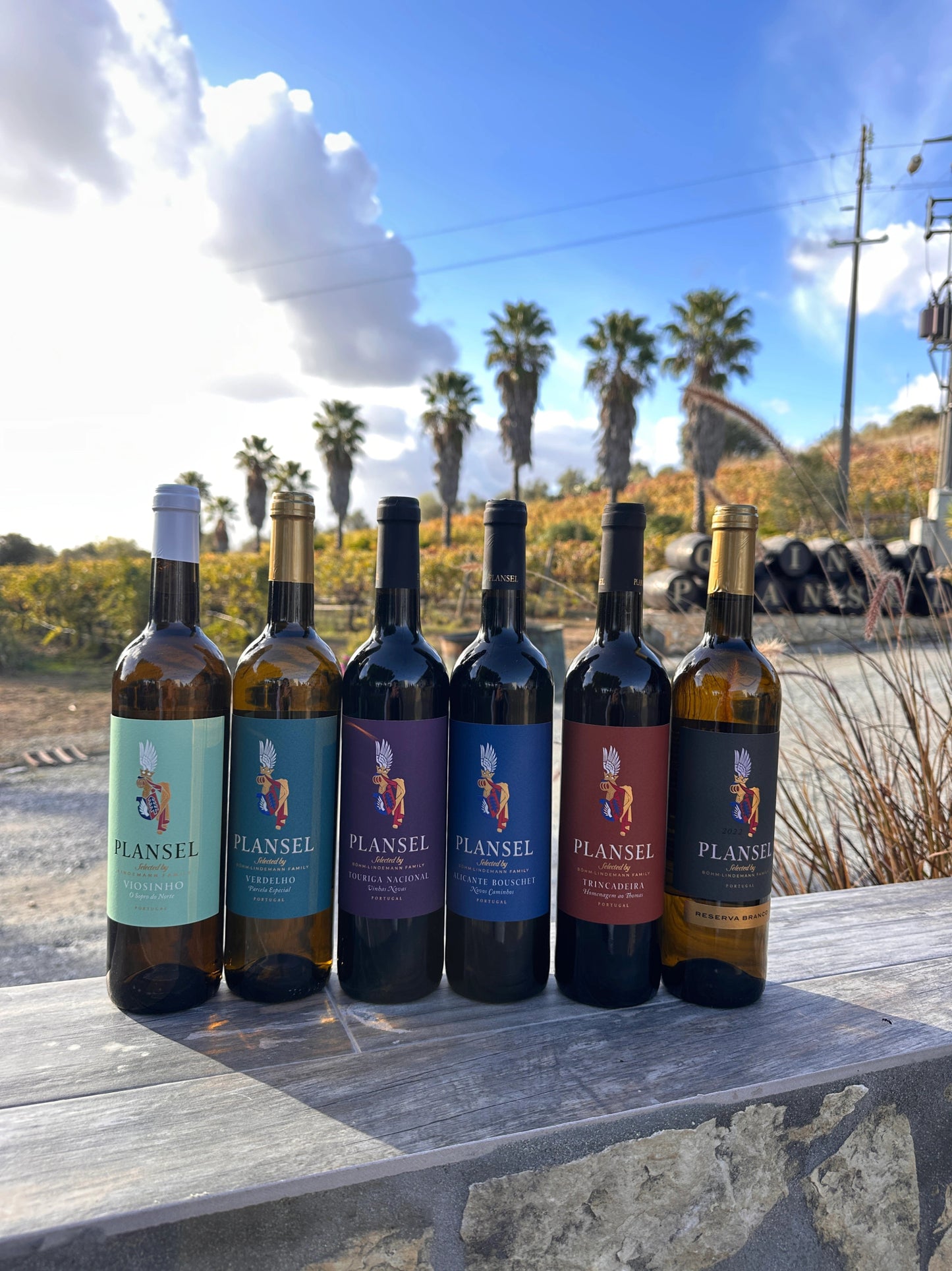 Pack Gama Plansel - 6 vinhos - Plansel