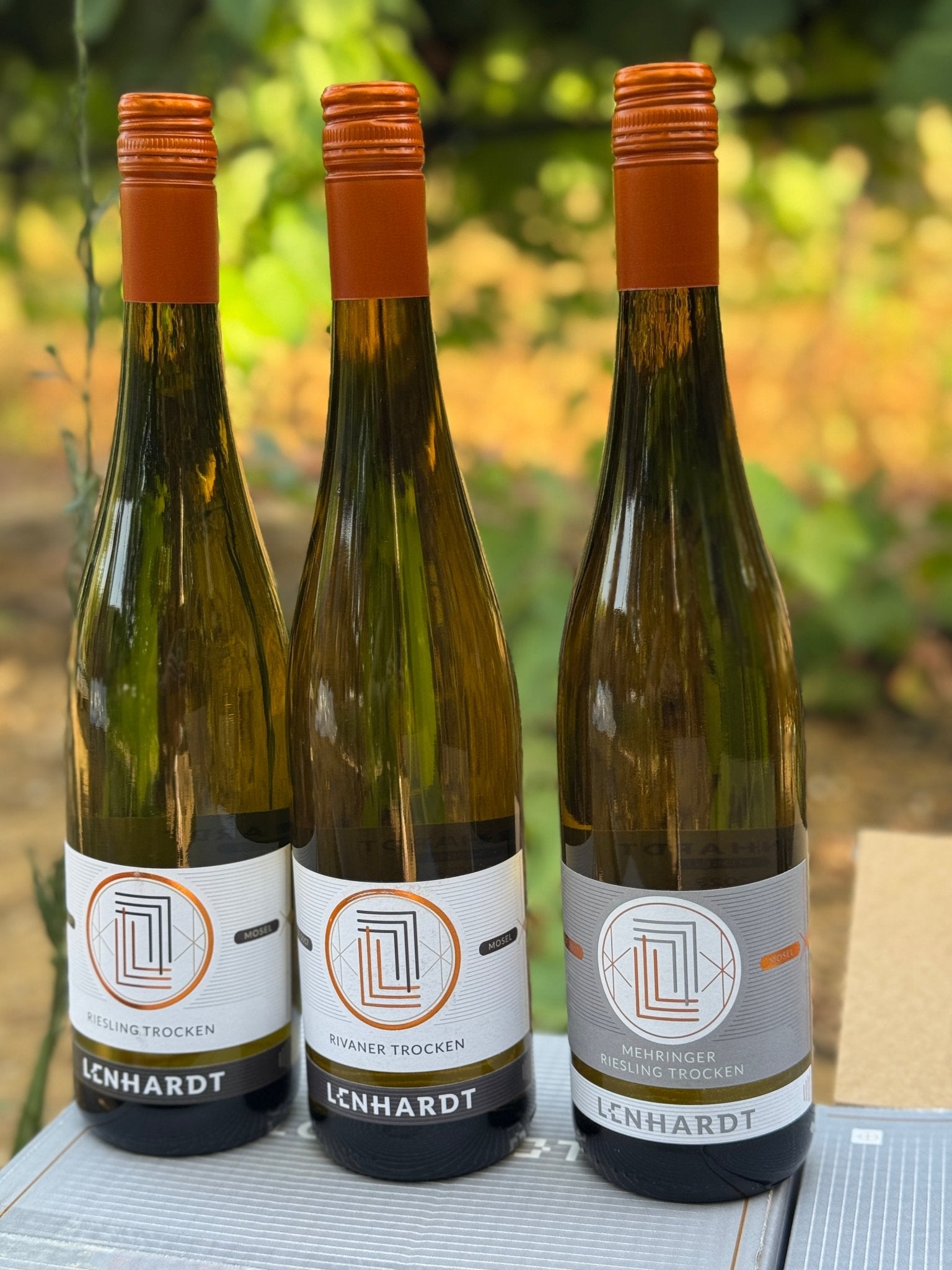 Pack Lenhardt - castas da Alemanha - Plansel