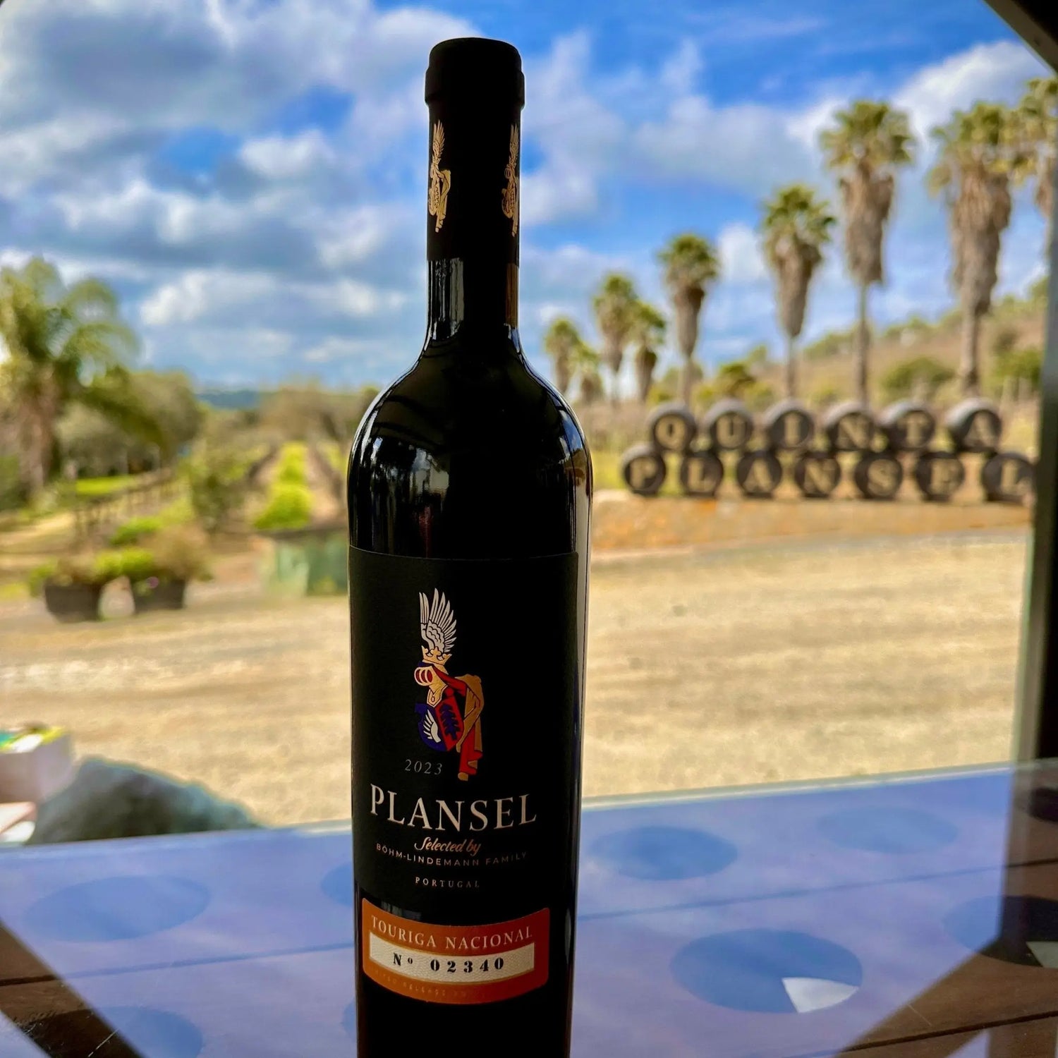 Plansel C. S. Toruriga Nacional 2022 - Plansel