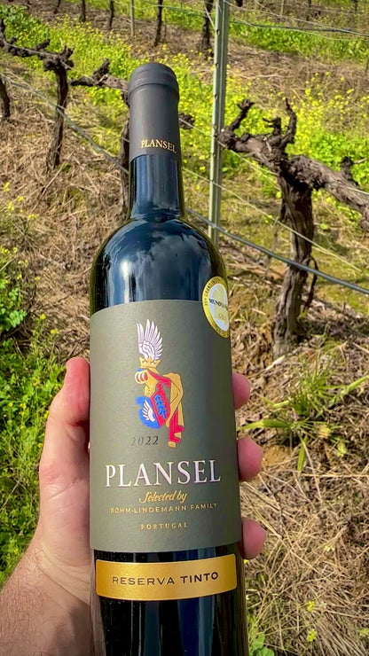 Plansel Reserva Tinto 2022