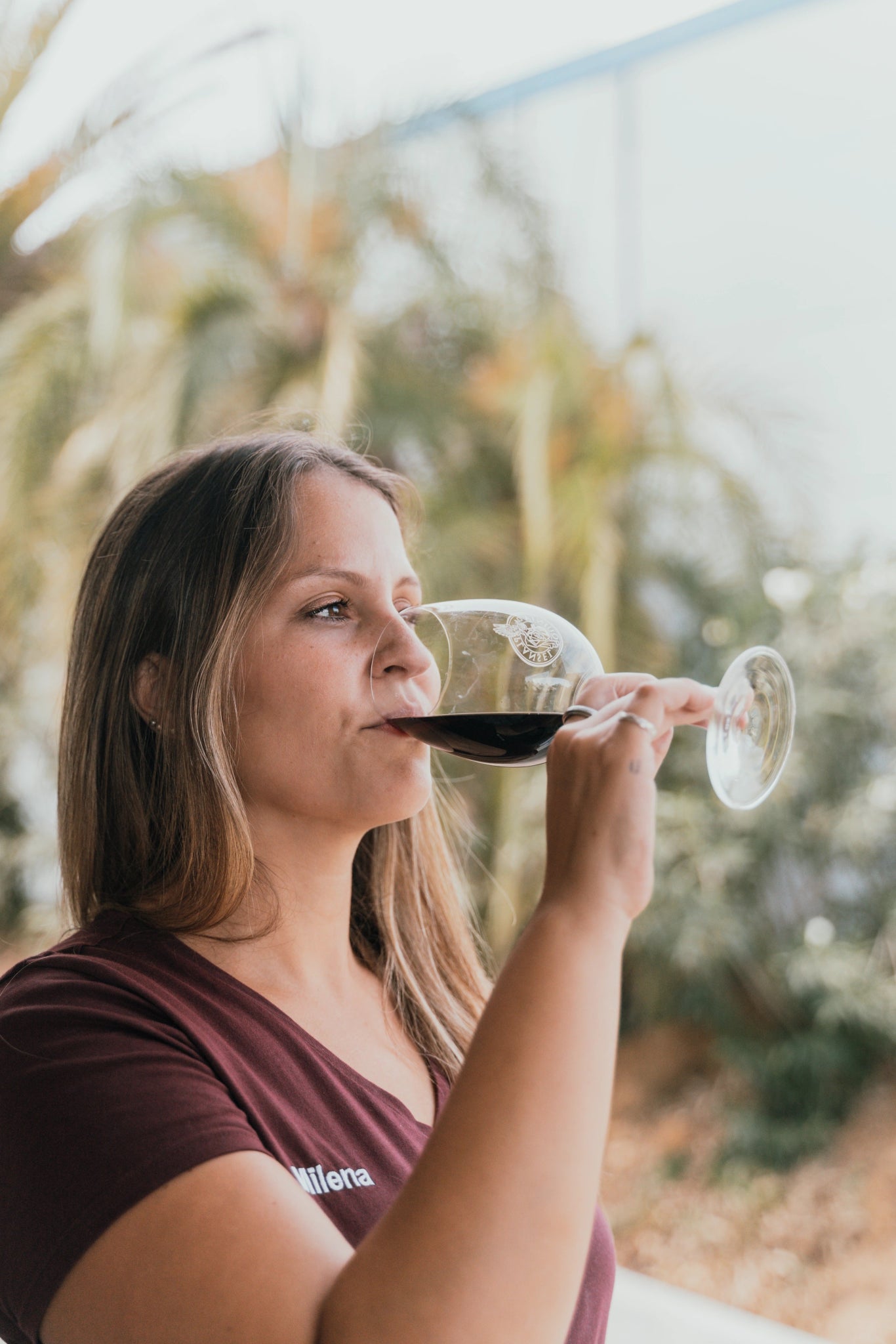 Prova PREMIUM (5 Vinhos) - Plansel